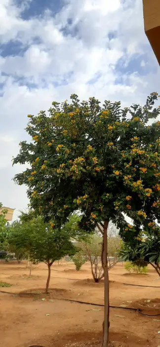 صورة ٢، مزرعة الفاخرية