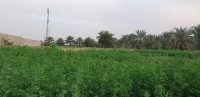 صورة ٢، مزرعة واستراحة السويلم Alsuwailem Farm
