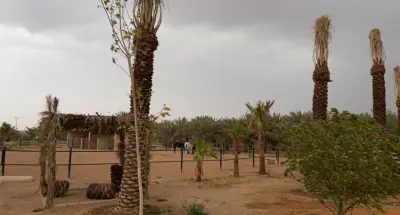 مزرعة محمد بن عبدالرحمن العيسى