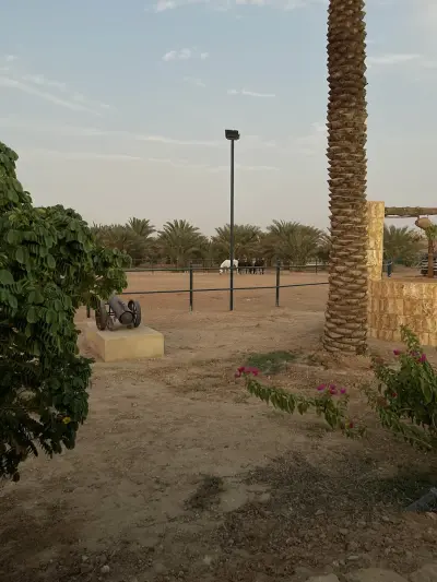 صورة ٦، مزرعة محمد بن عبدالرحمن العيسى