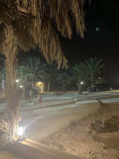 صورة ٤، مزرعة محمد بن عبدالرحمن العيسى