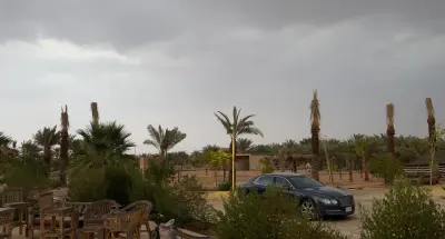 صورة ٥، مزرعة محمد بن عبدالرحمن العيسى