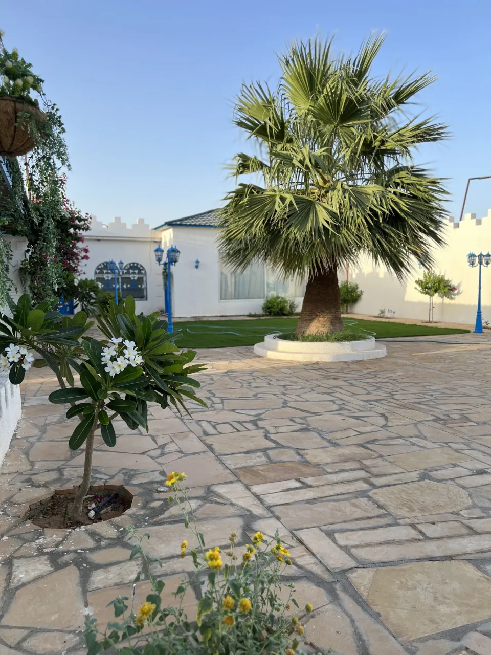 صورة ١، مزرعة الفهد