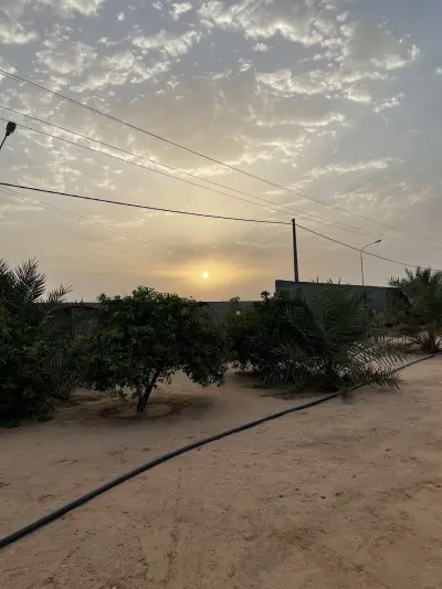 صورة ٢، مزرعة الهشامية بالخبراء