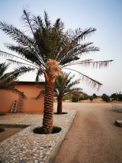 صورة ٥، مزرعة الهشامية بالخبراء