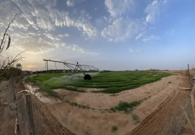 مزرعة الهشامية بالخبراء