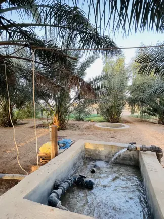 صورة ٤، مزرعة رجاء الحيسوني