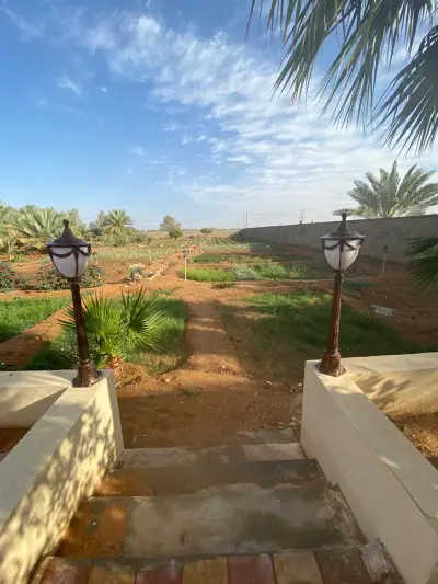 صورة ٢، مزرعة البير