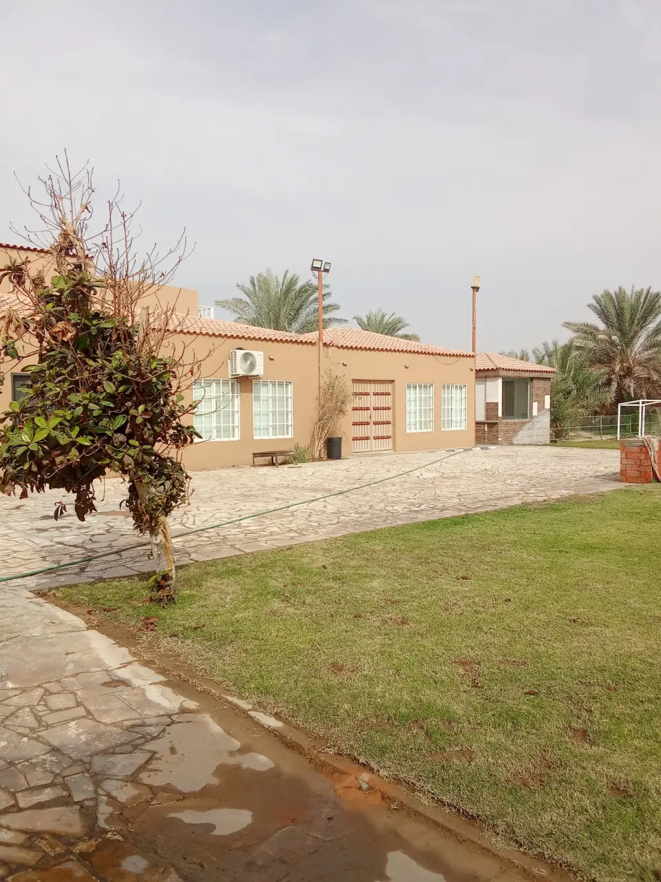 صورة ١، إستراحة زهور البستان
