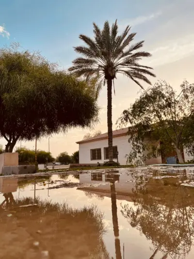 مزرعة البنة
