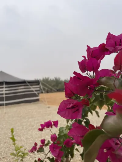 صورة ٢، مزرعة العرين لصاحبها عبدالرحمن بن عبدالله المعيذر