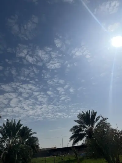 صورة ٢، مزرعة ابناء عبدالله آل عيسى رحمه الله