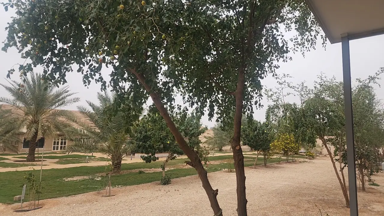صورة ١، مزرعة عبدالعزيز العنقري ابوطلال