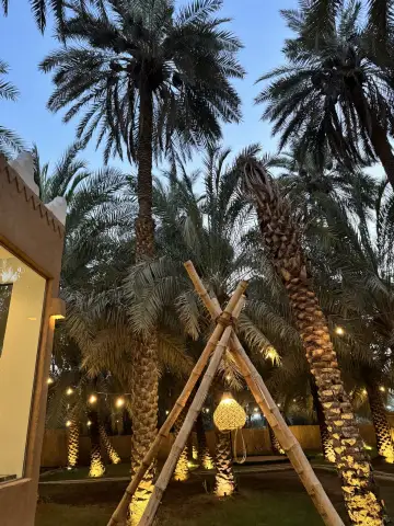 صورة ٢، مزرعة الباطن