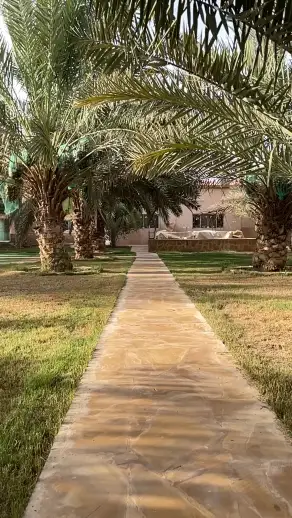 صورة ٤، منتجع المستريحه الريفي