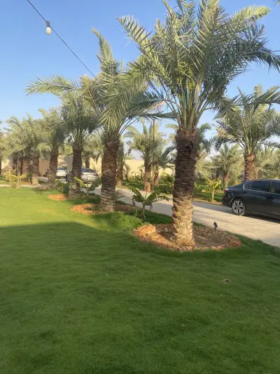 واحة القدية