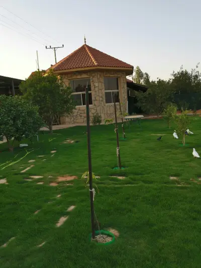 صورة ٣، منتجع أبو يوسف البدراني خاصة