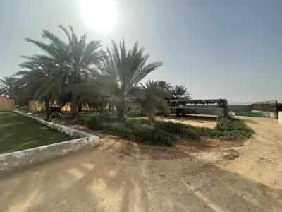 صورة ٣، مزرعة ريف الرياض