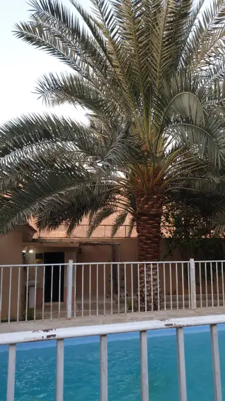 صورة ٤، مزرعة البستان