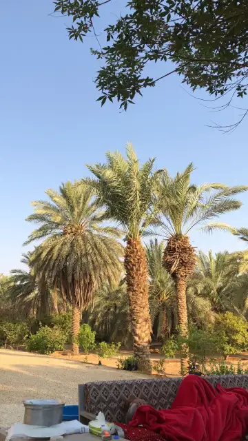 صورة ٤، مزرعة البواسل