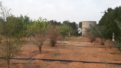 صورة ٣، العادليه