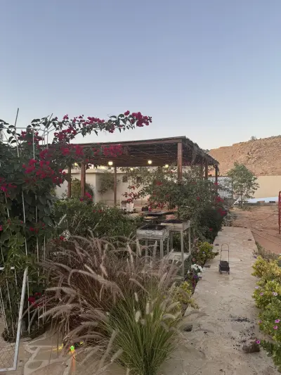 صورة ٢، مزرعة انوفا