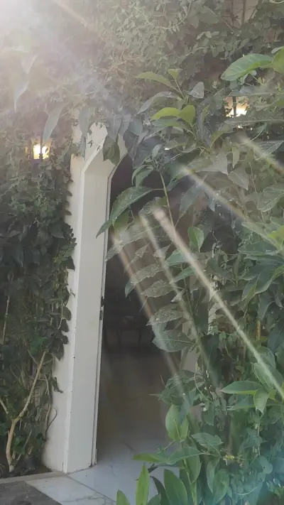 صورة ٣، استراحة درة الدرعية