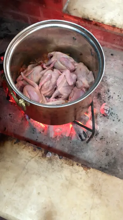 صورة ٣، استراحة روضة الحصان