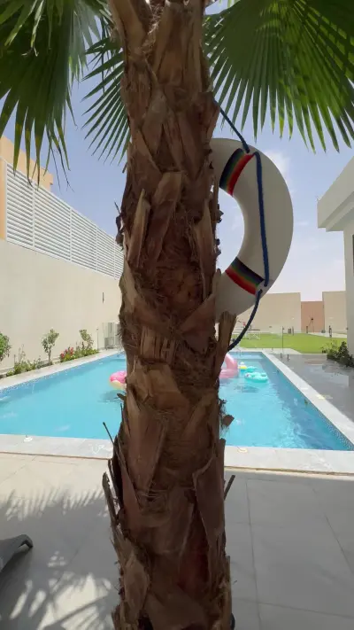 صورة ٣، شاليه وشق