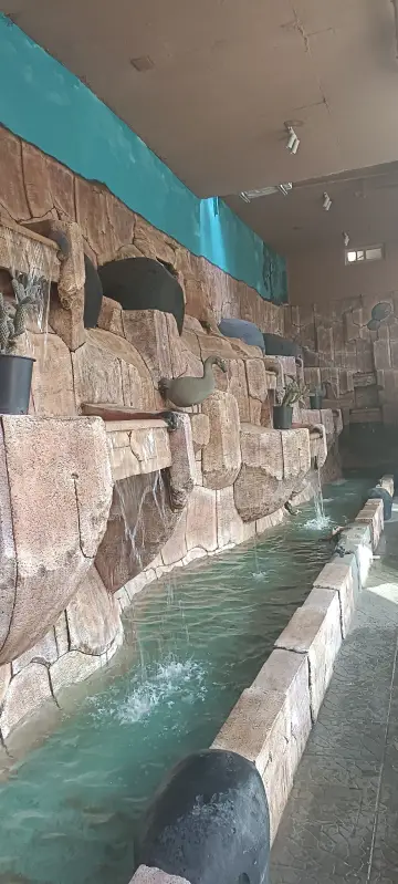صورة ٢، بيوت عطلات شاليهات البدرية ALBADRIYAH HOLIDAY HOMES CHALETS