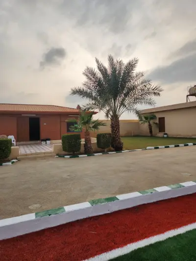 صورة ٢، استراحة الجزيرة - المزاحمية