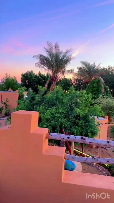 صورة ٣، مزرعة القرية