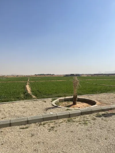 صورة ٢، مزرعة الزير