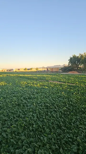 مزرعة الزير