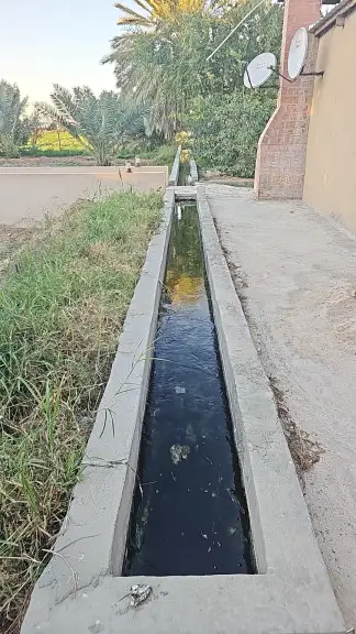 صورة ٥، مزرعة الزير