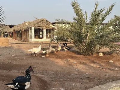 صورة ٤، مزرعة الدكتور منصور الجهني