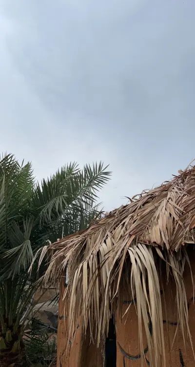 صورة ٣، مزرعة الدكتور منصور الجهني