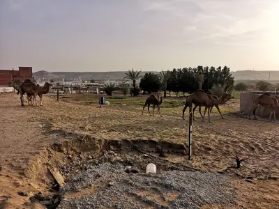مزرعة الدعيجية