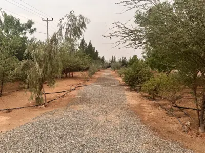 صورة ٥، مزرعة واستراحة فيصل البلادي