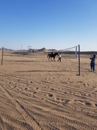 صورة ٣، مخيم سيف