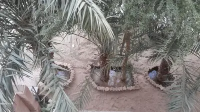 استراحة المطل