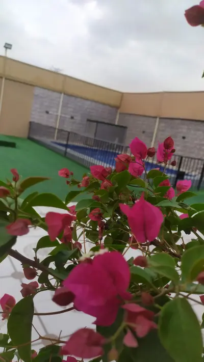 صورة ٥، استراحة وشاليه ومخيم مسك