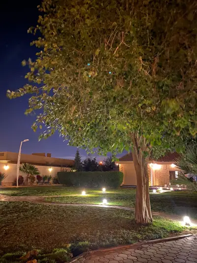 صورة ٥، منتجع الواحة Oasis Resort