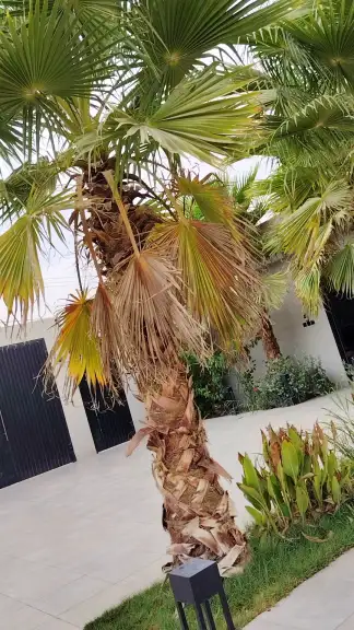 صورة ٣، شاليه واحة العيينه