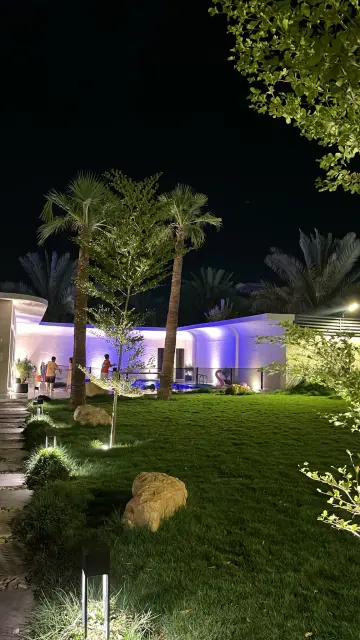صورة ٢، شيبارا