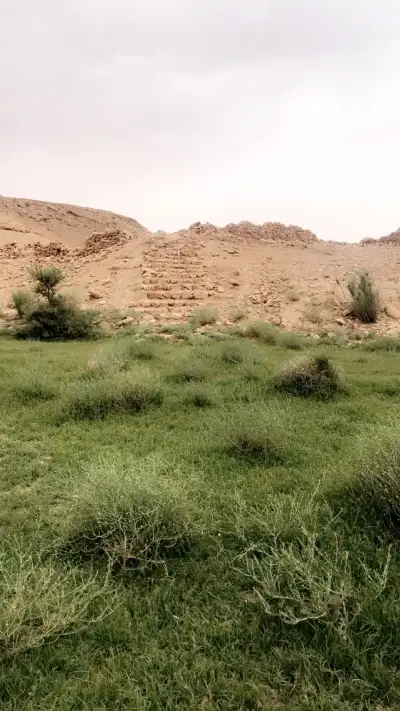 صورة ٢، مزرعة ال سليمان