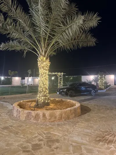 صورة ٢، إستراحة الدانة