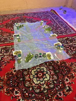 صورة ٥، استراحة الشاذليه في العينه
