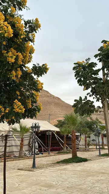 صورة ٢، استراحة ابو بدر المشرافي