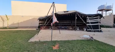 صورة ٢، شالية روزكازان
